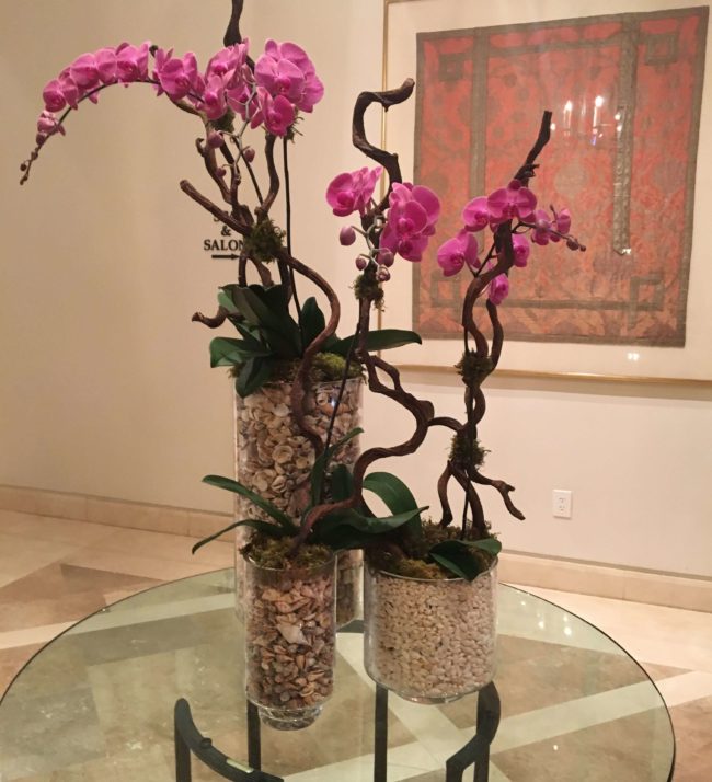 Orchids on Entry Table