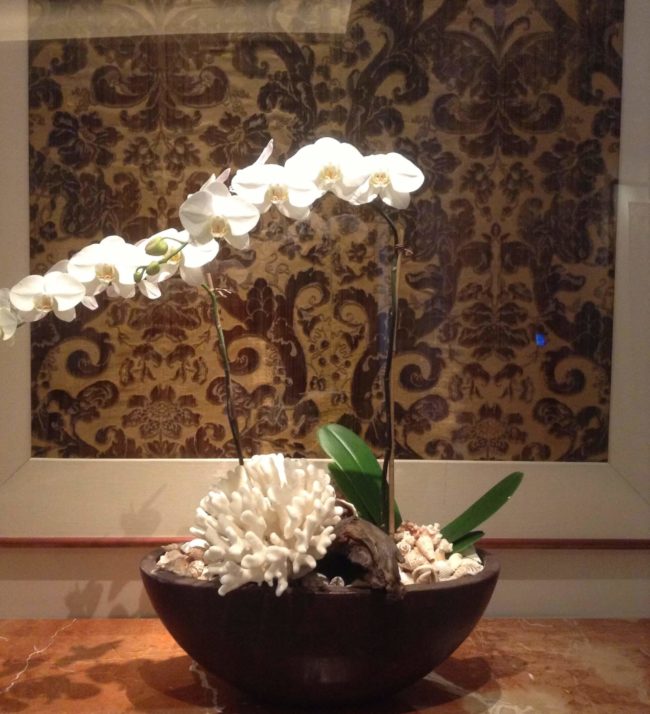 White Orchids at Entrance