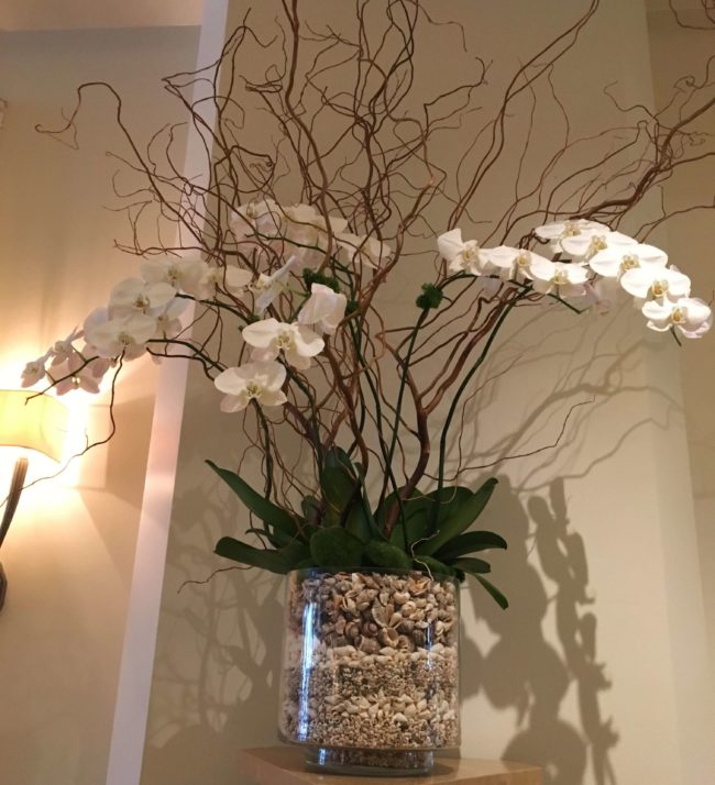 White Orchids in Shell Pot