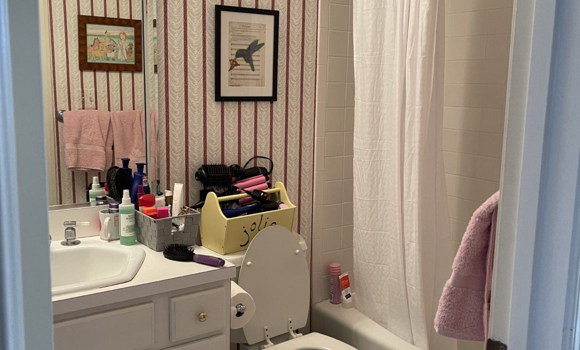 Shop The Look: Young Lady's Bathroom Transformation