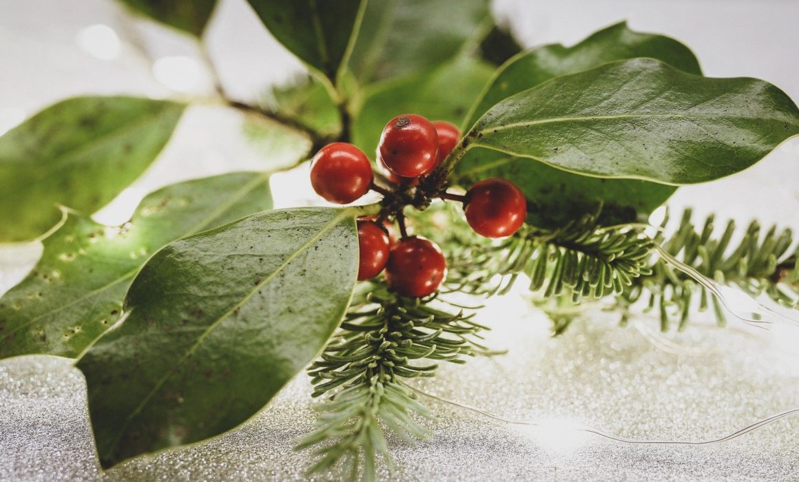 Decorating for The Holidays: How to make a Holiday Arrangement Using Fresh Greens